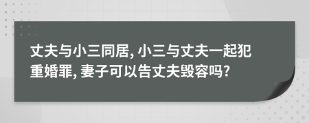 丈夫與小三同居, 小三與丈夫一起犯重婚罪, 妻子可以告丈夫毀容嗎?