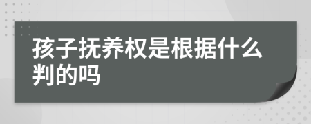 孩子撫養(yǎng)權(quán)是根據(jù)什么判的嗎