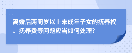 離婚后兩周歲以上未成年子女的撫養(yǎng)權(quán)、撫養(yǎng)費(fèi)等問(wèn)題應(yīng)當(dāng)如何處理？