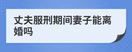 丈夫服刑期間妻子能離婚嗎