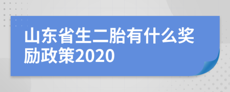 山東省生二胎有什么獎(jiǎng)勵(lì)政策2020