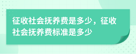 征收社會撫養(yǎng)費是多少，征收社會撫養(yǎng)費標準是多少