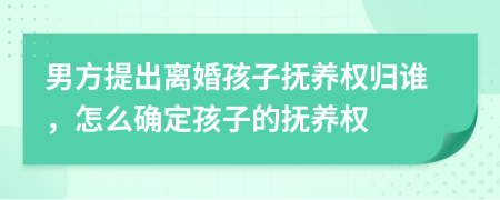男方提出離婚孩子撫養(yǎng)權(quán)歸誰(shuí)，怎么確定孩子的撫養(yǎng)權(quán)
