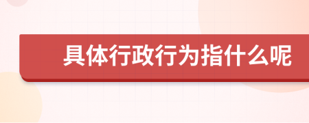 具體行政行為指什么呢