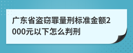 廣東省盜竊罪量刑標(biāo)準(zhǔn)金額2000元以下怎么判刑
