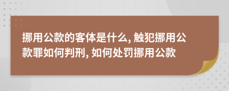挪用公款的客體是什么, 觸犯挪用公款罪如何判刑, 如何處罰挪用公款