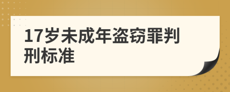 17歲未成年盜竊罪判刑標(biāo)準(zhǔn)