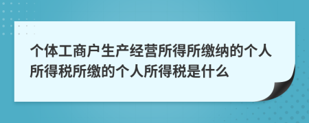 個體工商戶生產(chǎn)經(jīng)營所得所繳納的個人所得稅所繳的個人所得稅是什么
