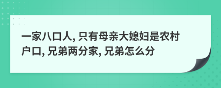 一家八口人, 只有母親大媳婦是農(nóng)村戶口, 兄弟兩分家, 兄弟怎么分