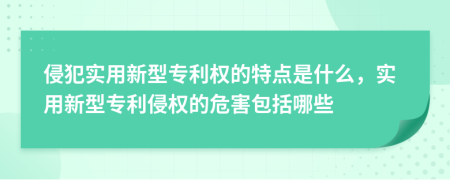 侵犯實用新型專利權(quán)的特點是什么，實用新型專利侵權(quán)的危害包括哪些
