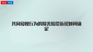 共同侵權(quán)行為的損害賠償訴訟如何確定