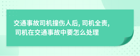 交通事故司機(jī)撞傷人后, 司機(jī)全責(zé), 司機(jī)在交通事故中要怎么處理