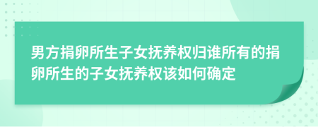 男方捐卵所生子女撫養(yǎng)權(quán)歸誰(shuí)所有的捐卵所生的子女撫養(yǎng)權(quán)該如何確定