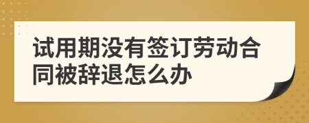 試用期沒(méi)有簽訂勞動(dòng)合同被辭退怎么辦