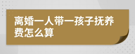離婚一人帶一孩子撫養(yǎng)費怎么算
