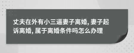 丈夫在外有小三逼妻子離婚, 妻子起訴離婚, 屬于離婚條件嗎怎么辦理