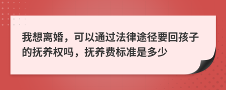 我想離婚，可以通過法律途徑要回孩子的撫養(yǎng)權(quán)嗎，撫養(yǎng)費(fèi)標(biāo)準(zhǔn)是多少