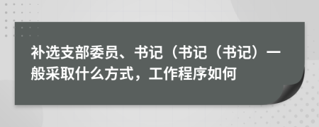 補(bǔ)選支部委員、書(shū)記（書(shū)記（書(shū)記）一般采取什么方式，工作程序如何