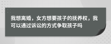 我想离婚，女方想要孩子的抚养权，我可以通过诉讼的方式争取孩子吗