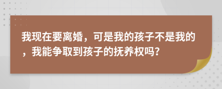 我現(xiàn)在要離婚，可是我的孩子不是我的，我能爭取到孩子的撫養(yǎng)權(quán)嗎？