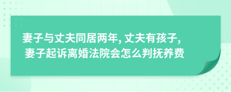 妻子與丈夫同居兩年, 丈夫有孩子, 妻子起訴離婚法院會怎么判撫養(yǎng)費(fèi)