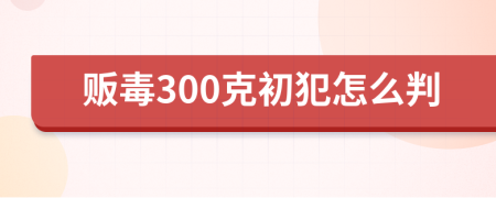 販毒300克初犯怎么判
