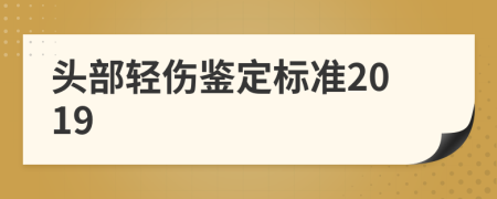 頭部輕傷鑒定標(biāo)準(zhǔn)2019