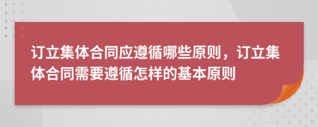 訂立集體合同應(yīng)遵循哪些原則，訂立集體合同需要遵循怎樣的基本原則