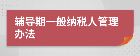 輔導(dǎo)期一般納稅人管理辦法
