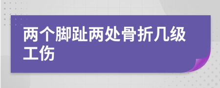 兩個(gè)腳趾兩處骨折幾級(jí)工傷