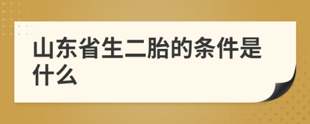 山東省生二胎的條件是什么