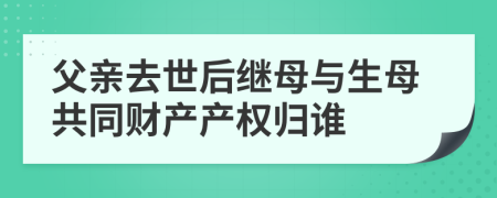 父親去世后繼母與生母共同財產(chǎn)產(chǎn)權(quán)歸誰