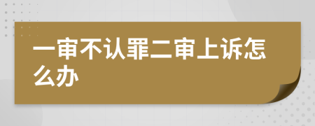 一審不認(rèn)罪二審上訴怎么辦