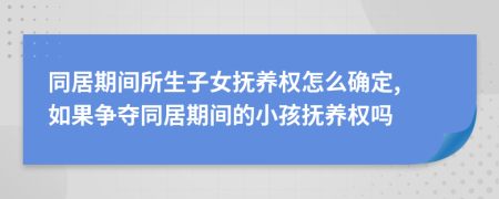 同居期間所生子女撫養(yǎng)權(quán)怎么確定, 如果爭奪同居期間的小孩撫養(yǎng)權(quán)嗎