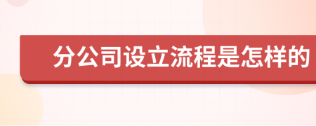 分公司設(shè)立流程是怎樣的
