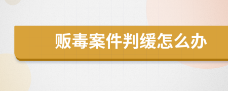 販毒案件判緩怎么辦