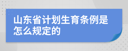 山東省計(jì)劃生育條例是怎么規(guī)定的