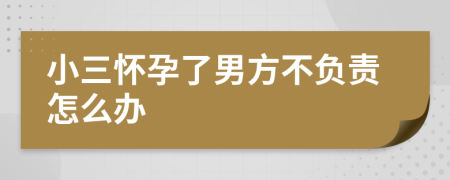 小三懷孕了男方不負(fù)責(zé)怎么辦