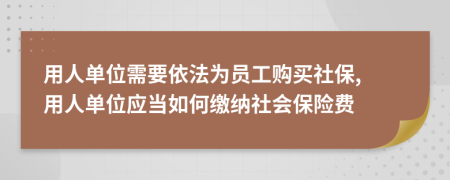 用人單位需要依法為員工購(gòu)買社保, 用人單位應(yīng)當(dāng)如何繳納社會(huì)保險(xiǎn)費(fèi)