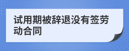 試用期被辭退沒(méi)有簽勞動(dòng)合同