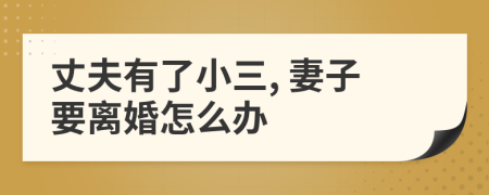 丈夫有了小三, 妻子要離婚怎么辦