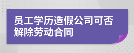 員工學(xué)歷造假公司可否解除勞動(dòng)合同