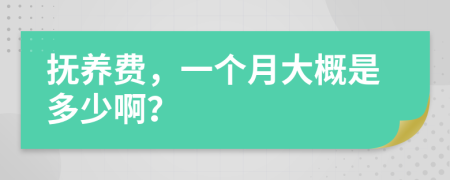 撫養(yǎng)費，一個月大概是多少?。?>
                </a>
            </div>
            <div   id=