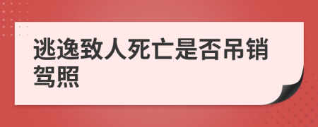 逃逸致人死亡是否吊銷駕照