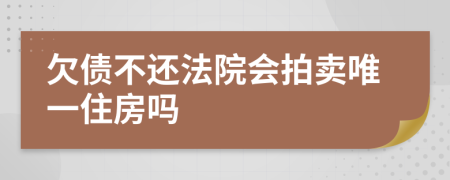 欠債不還法院會拍賣唯一住房嗎