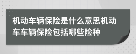 機(jī)動車輛保險(xiǎn)是什么意思機(jī)動車車輛保險(xiǎn)包括哪些險(xiǎn)種