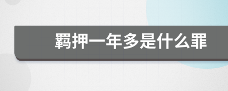 羈押一年多是什么罪