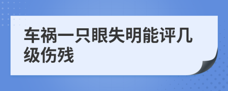 車禍一只眼失明能評(píng)幾級(jí)傷殘