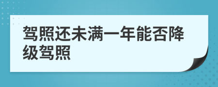 駕照還未滿一年能否降級駕照
