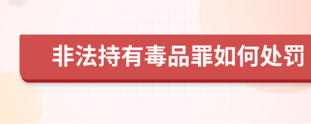 非法持有毒品罪如何處罰
